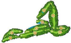 コース全体俯瞰図