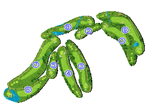 コース全体俯瞰図