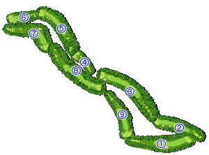 コース全体俯瞰図