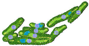コース全体俯瞰図