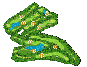 コース全体俯瞰図