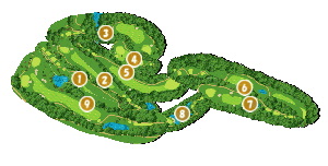 コース全体俯瞰図