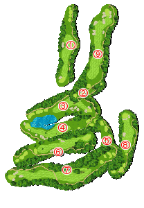 コース全体俯瞰図