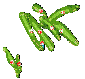 コース全体俯瞰図