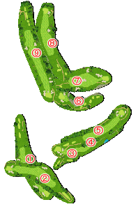 コース全体俯瞰図