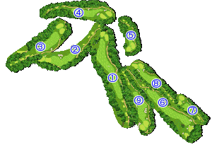 コース全体俯瞰図