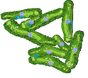 コース全体俯瞰図