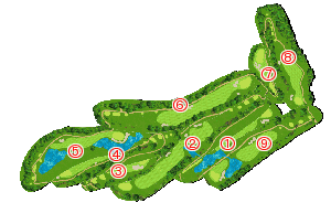 コース全体俯瞰図