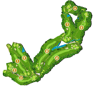 コース全体俯瞰図