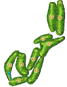 コース全体俯瞰図