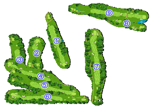 コース全体俯瞰図