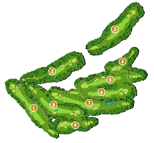 コース全体俯瞰図