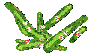 コース全体俯瞰図