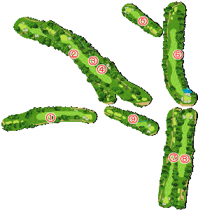 コース全体俯瞰図