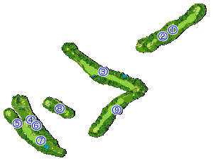コース全体俯瞰図