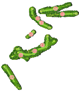 コース全体俯瞰図
