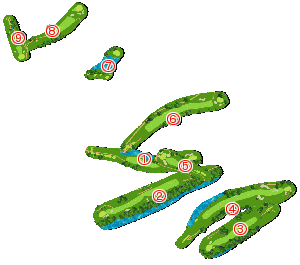 コース全体俯瞰図