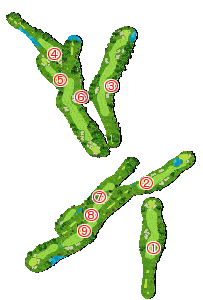 コース全体俯瞰図