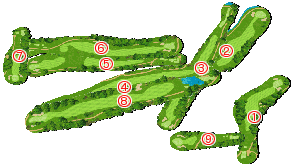 コース全体俯瞰図