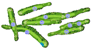 コース全体俯瞰図