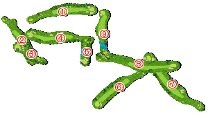 コース全体俯瞰図