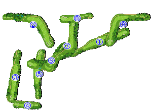 コース全体俯瞰図