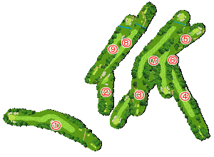 コース全体俯瞰図