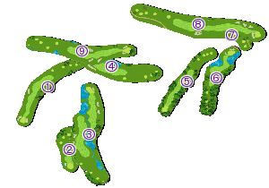 コース全体俯瞰図