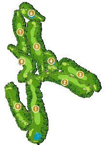 コース全体俯瞰図