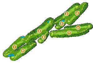 コース全体俯瞰図