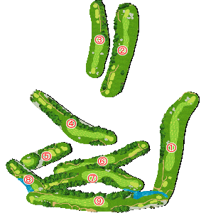 コース全体俯瞰図