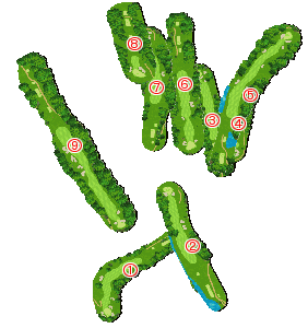 コース全体俯瞰図
