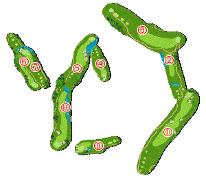 コース全体俯瞰図