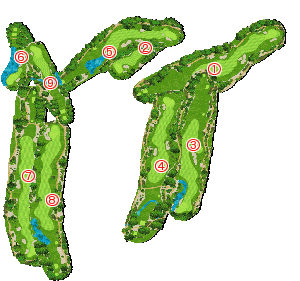 コース全体俯瞰図